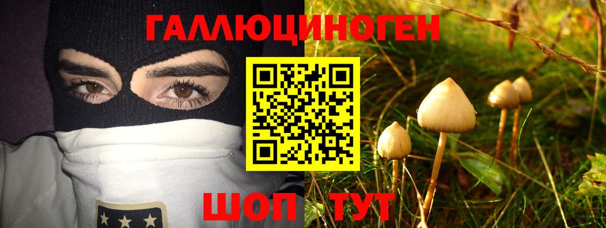Киселёвск  Галлюциногенные грибы Psilocybine cubensis  Псилоцибиновые грибы Psilocybine cubensis  Вход с VPN 